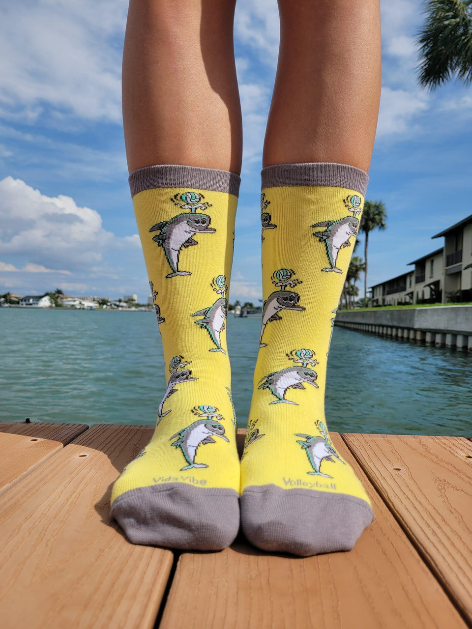 Volleyball Dolphin Socks - VidaVibe